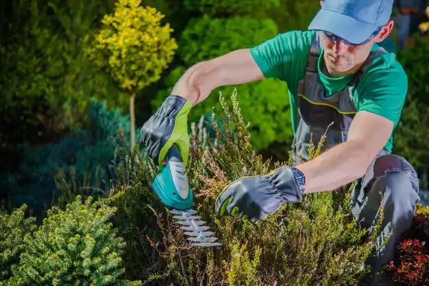 landscaping services Breesport